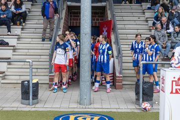 Bild 21 - wBJ Hamburger SV - FC Suederelbe : Ergebnis: 9:0